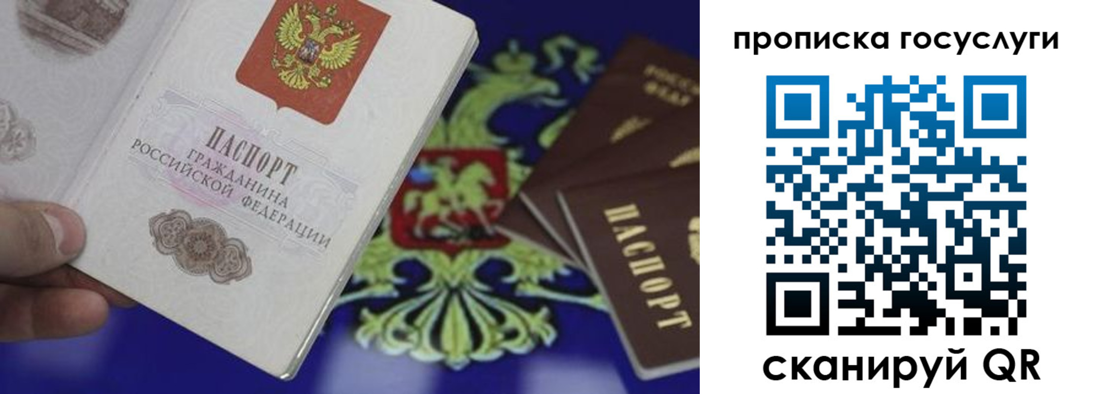 прописка для школы в Киреевске